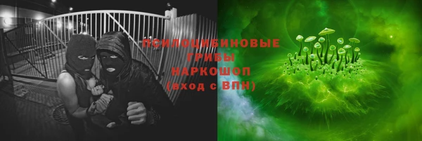 прущие грибы Алексеевка