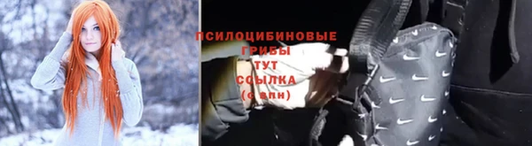 прущие грибы Алексеевка