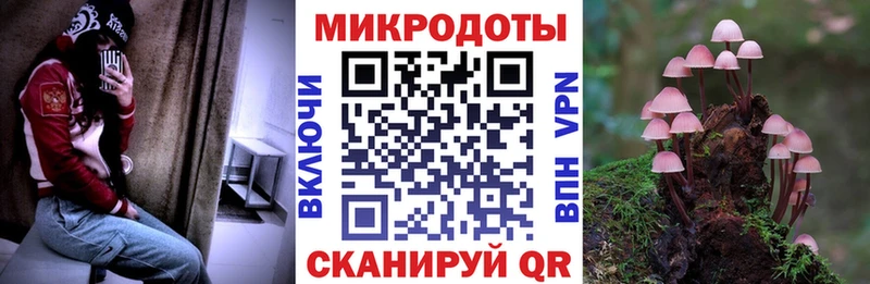кракен зеркало  Нижние Серги  Псилоцибиновые грибы мухоморы 